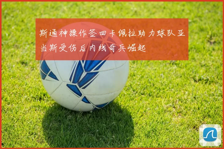 斯通神操作签回卡佩拉助力球队亚当斯受伤后内线奇兵崛起